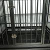 42&quot; Heavy Duty Dog Cage Crate Kennel Metal Pet Playpen Portable with Tray Black