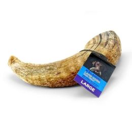 Icelandic  Lamb Horn - Single Piece (Sized Approx. 6.5-7In)