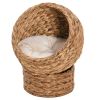 Simple Yet Practical Natural Braided Banana Leaf Elevated Cat Bed Basket With Cushion