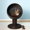Modern Cat Bed Fancy Design Espresso Color Wicker Lounge
